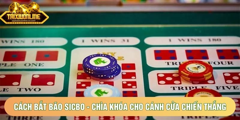 Cách Bắt Bão Sicbo - Chìa Khóa Cho Cánh Cửa Chiến Thắng
