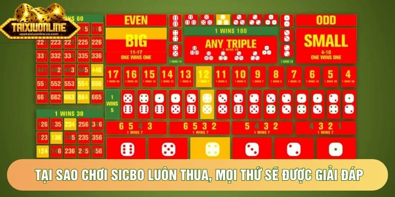 Tại sao chơi sicbo luôn thua, mọi thứ sẽ được giải đáp