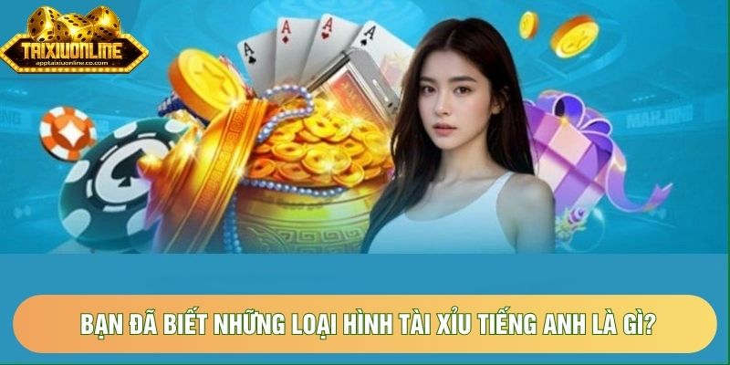 Bạn đã biết những loại hình tài xỉu tiếng anh là gì?